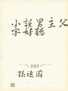 小说男主父亲名字好听