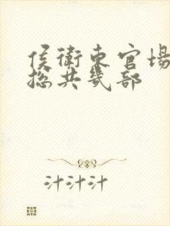 侯卫东官场笔记总共几部