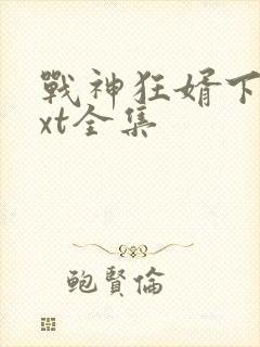 战神狂婿下载txt全集