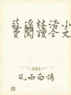 苏瑶林浩小说免费阅读全文最新章节