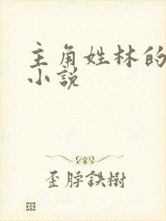 主角姓林的都市小说