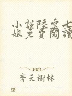 小说陆云七个姐姐免费阅读