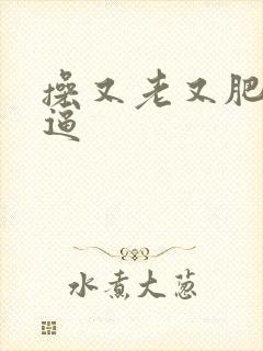 操又老又肥的老逼