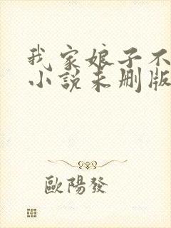 我家娘子不对劲小说未删版完整
