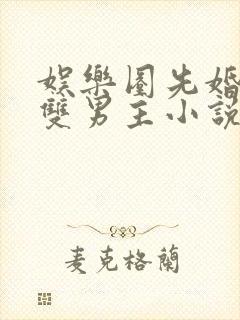 娱乐圈先婚后爱双男主小说