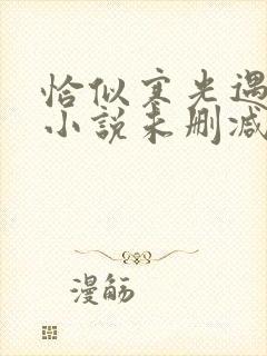 恰似寒光遇骄阳小说未删减版