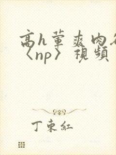 高h荤爽肉欲文〈np〉视频