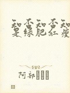 知否知否知否应是绿肥红瘦什么意思