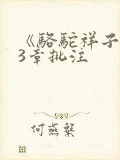 《骆驼祥子》23章批注