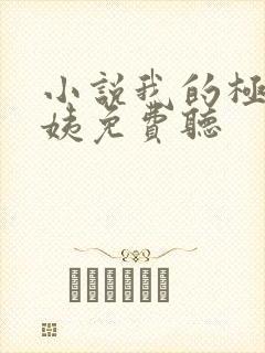 小说我的极品小姨免费听