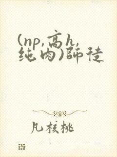 (np,高h,纯肉)师徒
