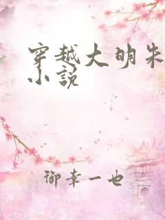 穿越大明朱祁镇小说