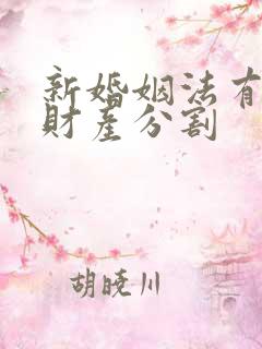 新婚姻法有小孩财产分割