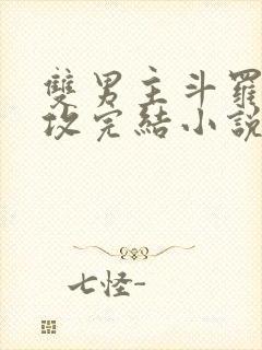 双男主斗罗唐三攻完结小说