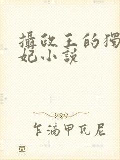 摄政王的独宠医妃小说