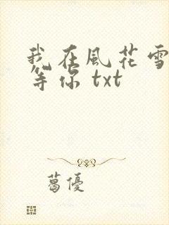 我在风花雪月里等你 txt