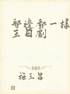 哪边都一样双男主日剧