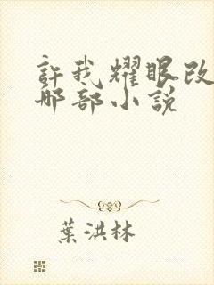 许我耀眼改编自哪部小说