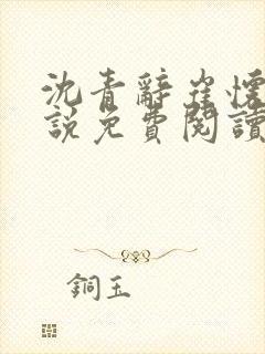 沈青辞崔怀瑾小说免费阅读最新章节