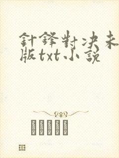 针锋对决未删减版txt小说