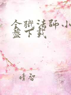 全职法师小说网盘下载