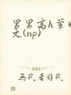 男男高h荤肉欲文(np)