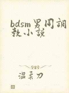 bdsm男同调教小说