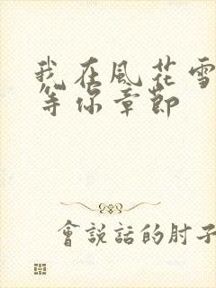 我在风花雪月里等你章节