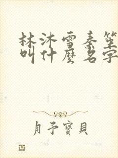 林沐雪秦笙小说叫什么名字