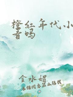 橙红年代小说好看吗