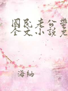 国民老公带回家全文小说免费阅读