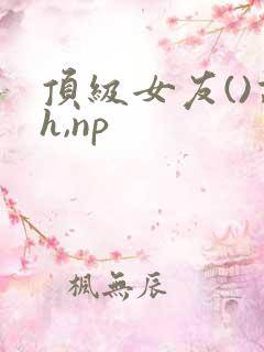 顶级女友()高h,np