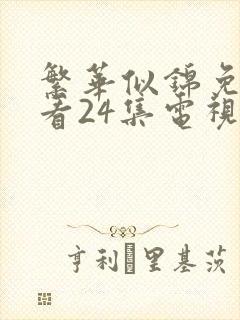 繁华似锦免费观看24集电视剧