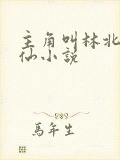 主角叫林北的修仙小说