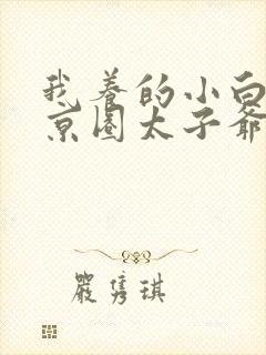 我养的小白脸是京圈太子爷短剧曾辉