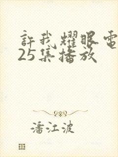 许我耀眼电视剧25集播放