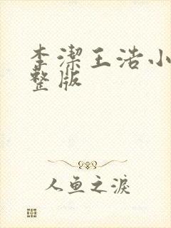 李洁王浩小说完整版