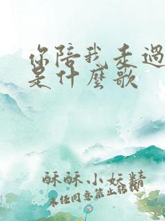 你陪我走过风雨是什么歌