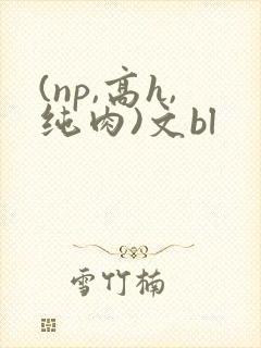 (np,高h,纯肉)文bl