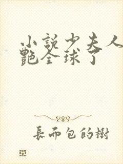 小说少夫人她惊艳全球了