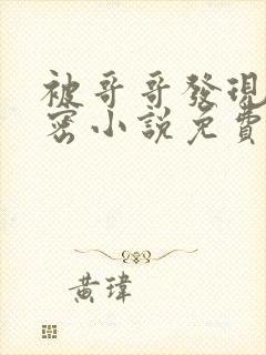 被哥哥发现的秘密小说免费阅读全文