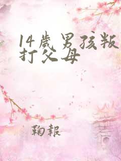 14岁男孩叛逆打父母