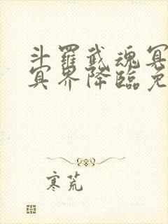 斗罗武魂冥王剑冥界降临免费阅读