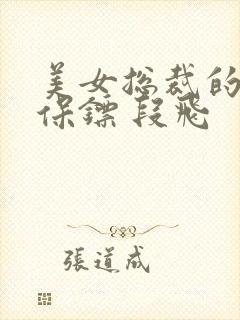 美女总裁的贴身保镖 段飞