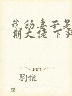 我的妻子是大乘期大佬 下载