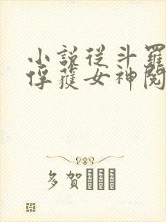 小说从斗罗开始俘获女神阅读