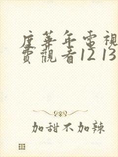 度华年电视剧免费观看12 13集