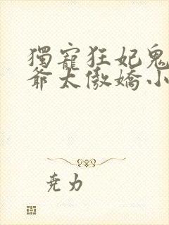 独宠狂妃鬼面王爷太傲娇小说