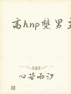 高hnp双男主