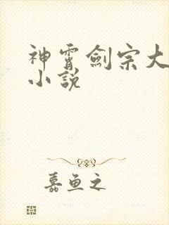 神霄剑宗大师兄小说